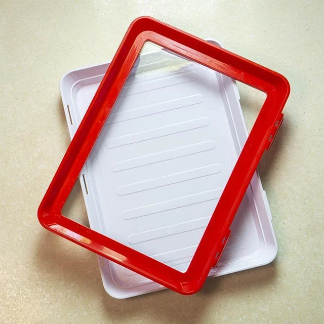 🔥Buy More Save More🔥New Style Food Preservation Tray