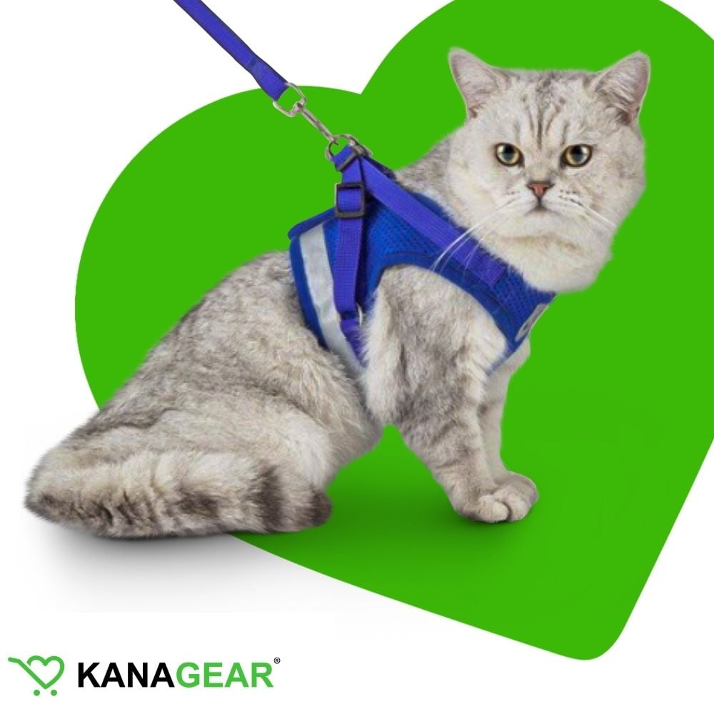 EasyWalkTM Cat Harness and Leash Set