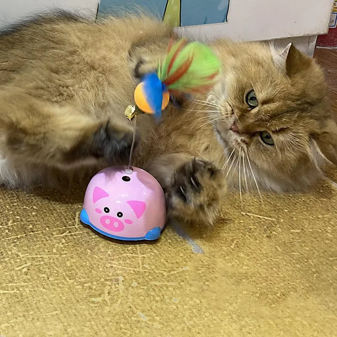 (🔥Last Day Promotion-SAVE 50% OFF)😽Smart Sensing Interative Cat Toy-BUY 2 GET 10% OFF & FREE SHIPPING！