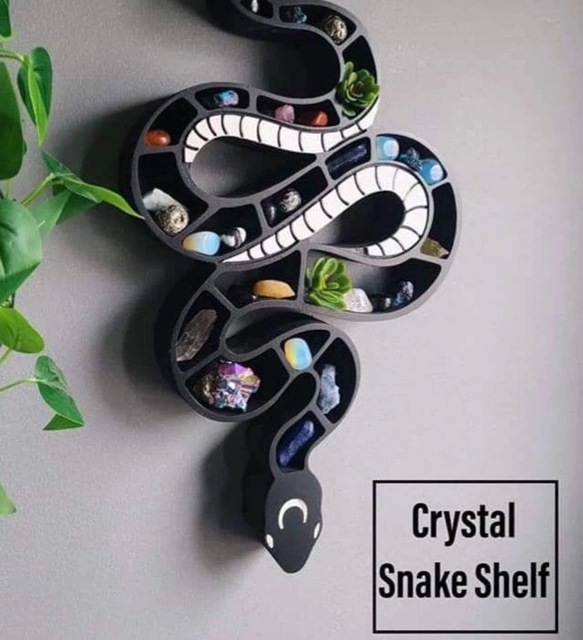 Crystal Snake Shelf, Crystal Display, Spooky Decor
