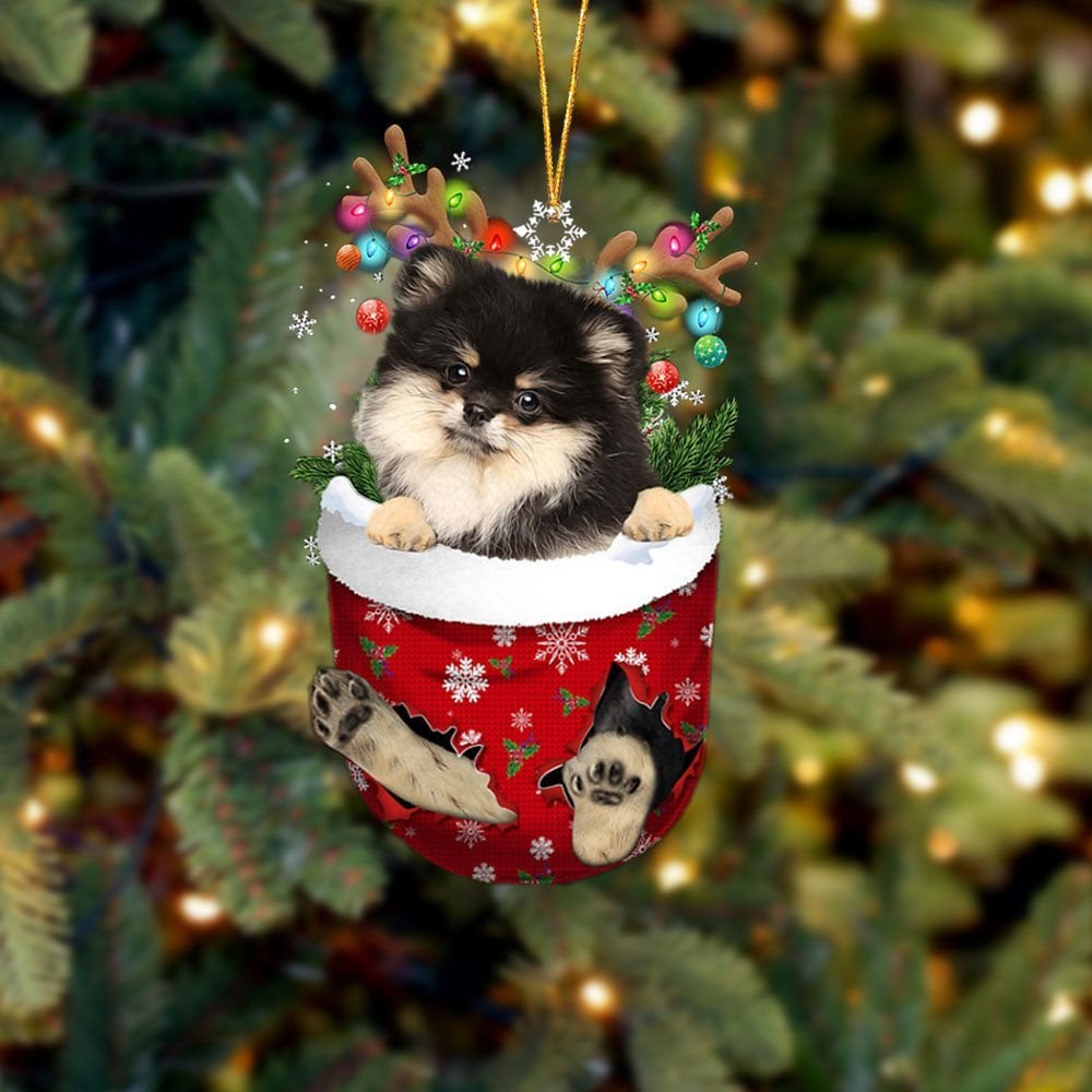Pomeranian 1 In Snow Pocket Ornament