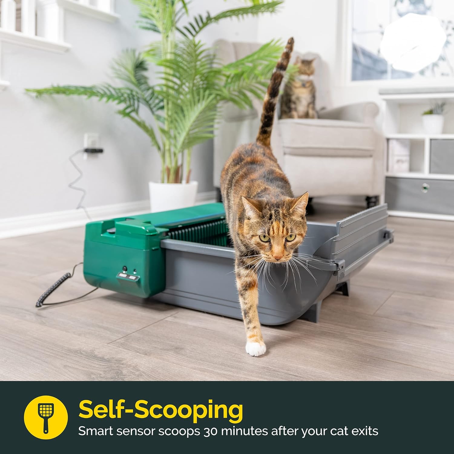 Pet Zone Smart Scoop Litter Box Value Pack Self Cleaning Litter Box