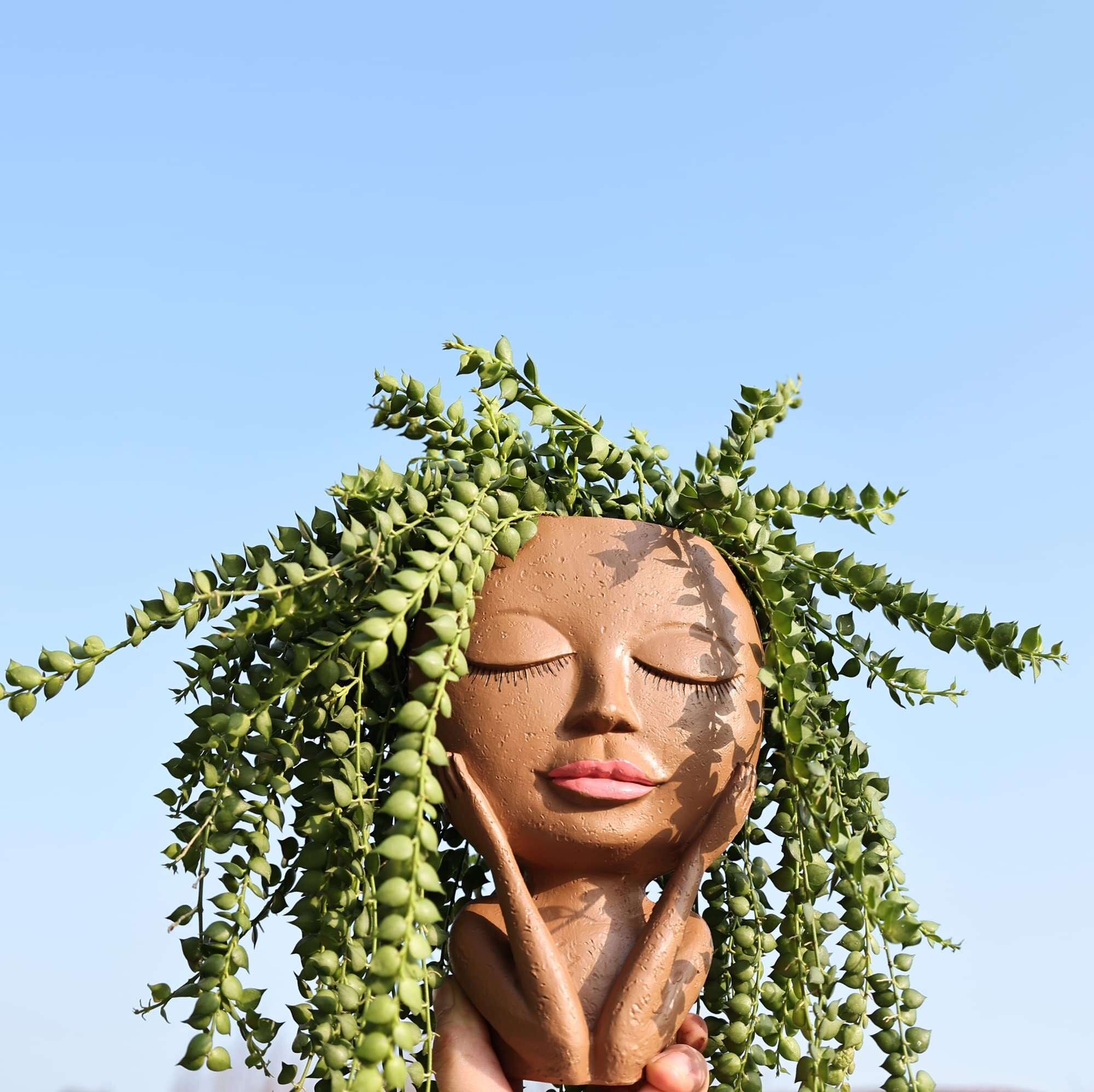 🔥Last Day Promotion -49% OFF🔥Cute Lady Face Plant Pot--BUY 2 Free Shipping