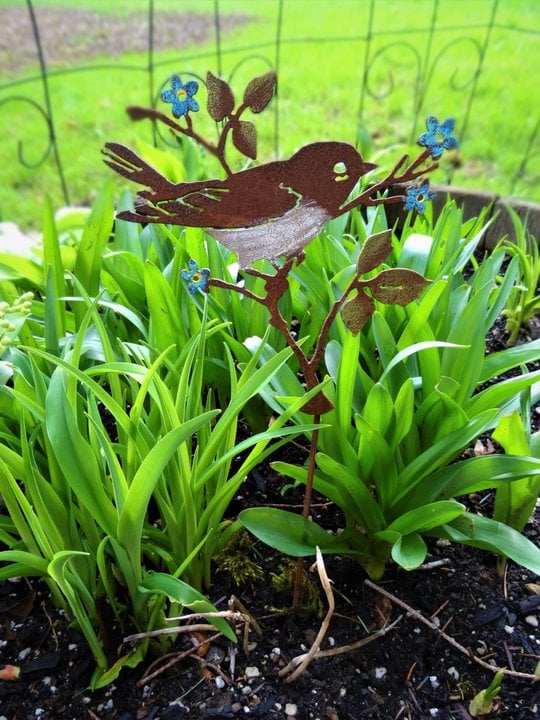 Upright Warbler with Flower - Painted