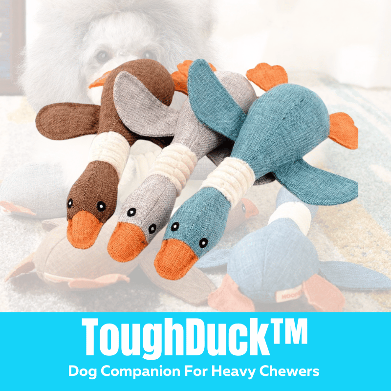 ToughDuckTM Dog Companion For Heavy Chewers