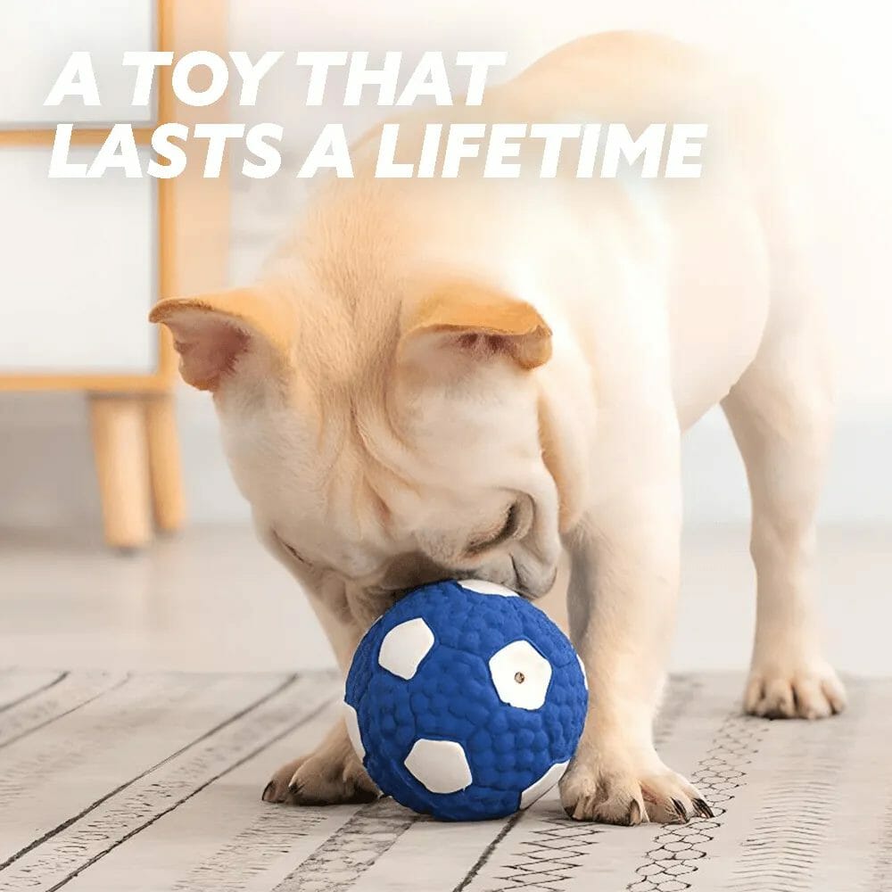 CHEWBALL – IMMORTAL TOY FOR AGGRESSIVE CHEWERS