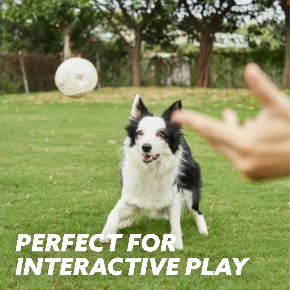 CHEWBALL – IMMORTAL TOY FOR AGGRESSIVE CHEWERS