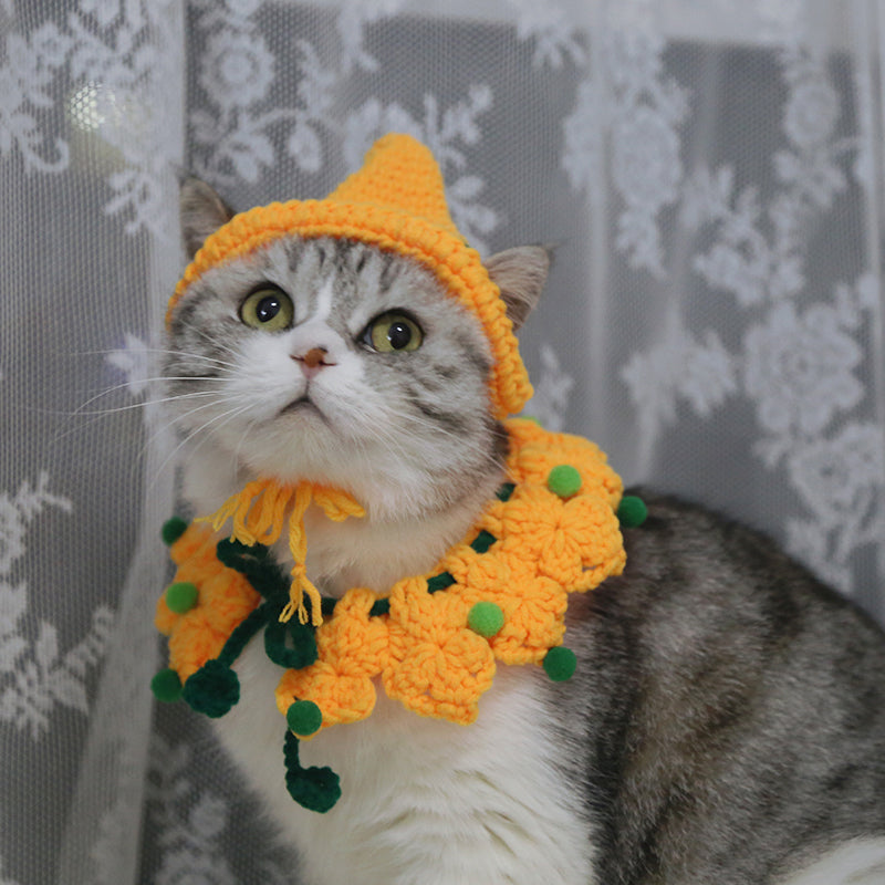 Halloween Witch Pet Hat and Shawl