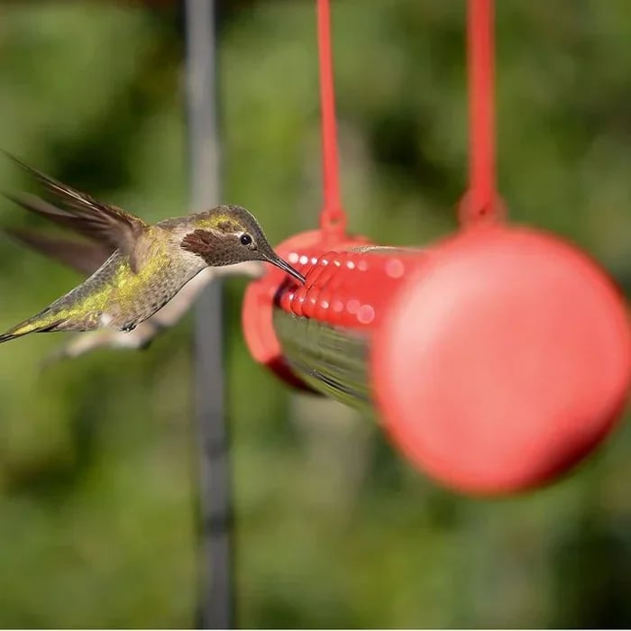 🔥LAST DAY 70% OFF-Flower bar hummingbird feeder