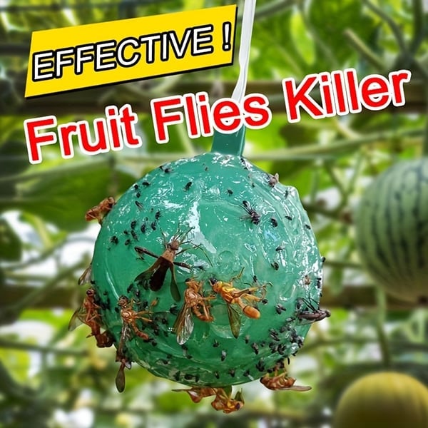 🔥Last Day Promotion - 50% OFF🔥Hanging Environmental Fruit Fly Traps Sticky Traps-BUY 5 GET 3 FREE