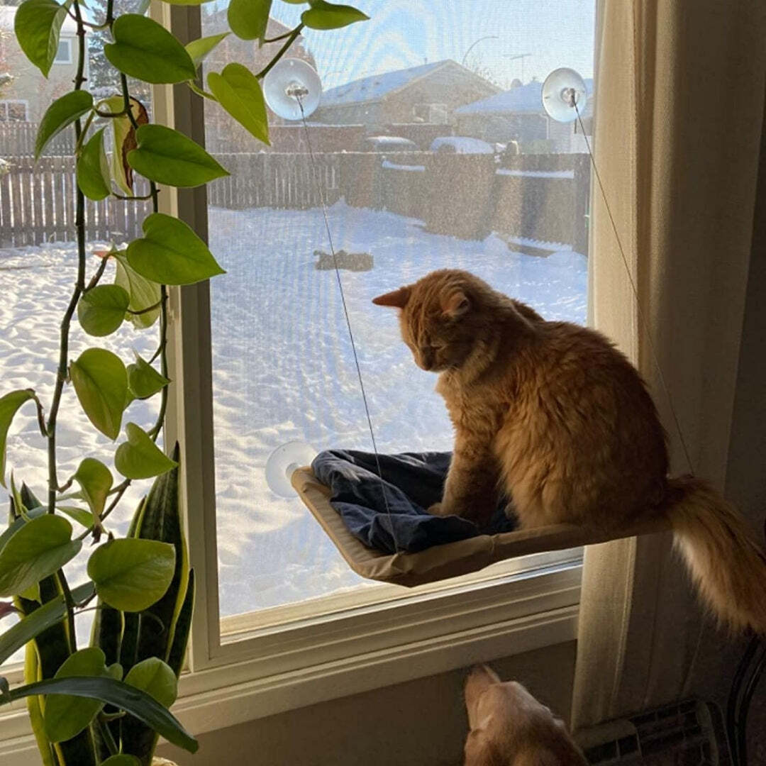 Veapet™ Indoor Cat Hammock
