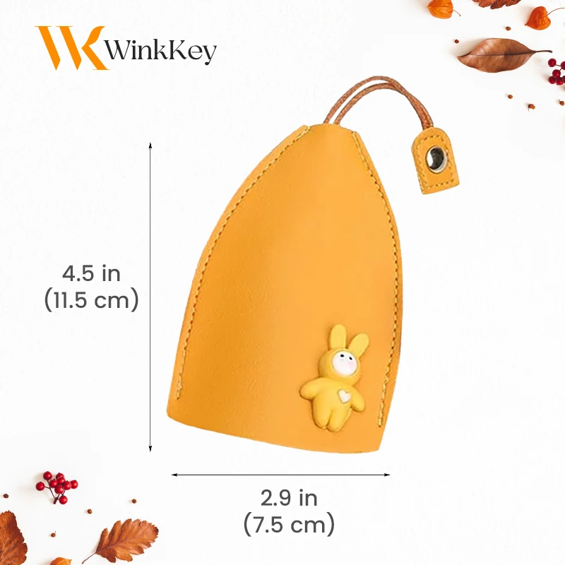 WinkKey - Protective Pull Out Key Case