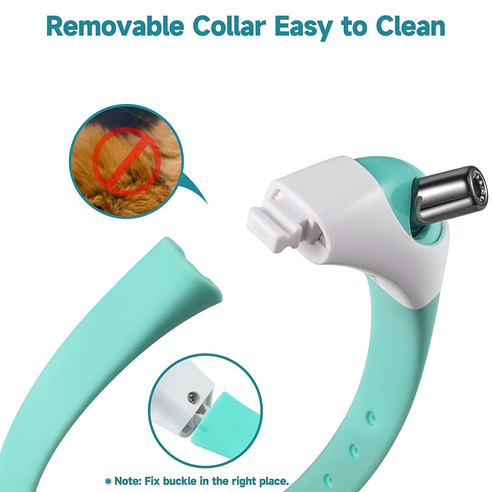 (🌲Early Christmas Sale- SAVE 49% OFF)Electric Smart Amusing Collar for Kitten-⏰BUY 2 GET 12% OFF & FREE SHIPPING