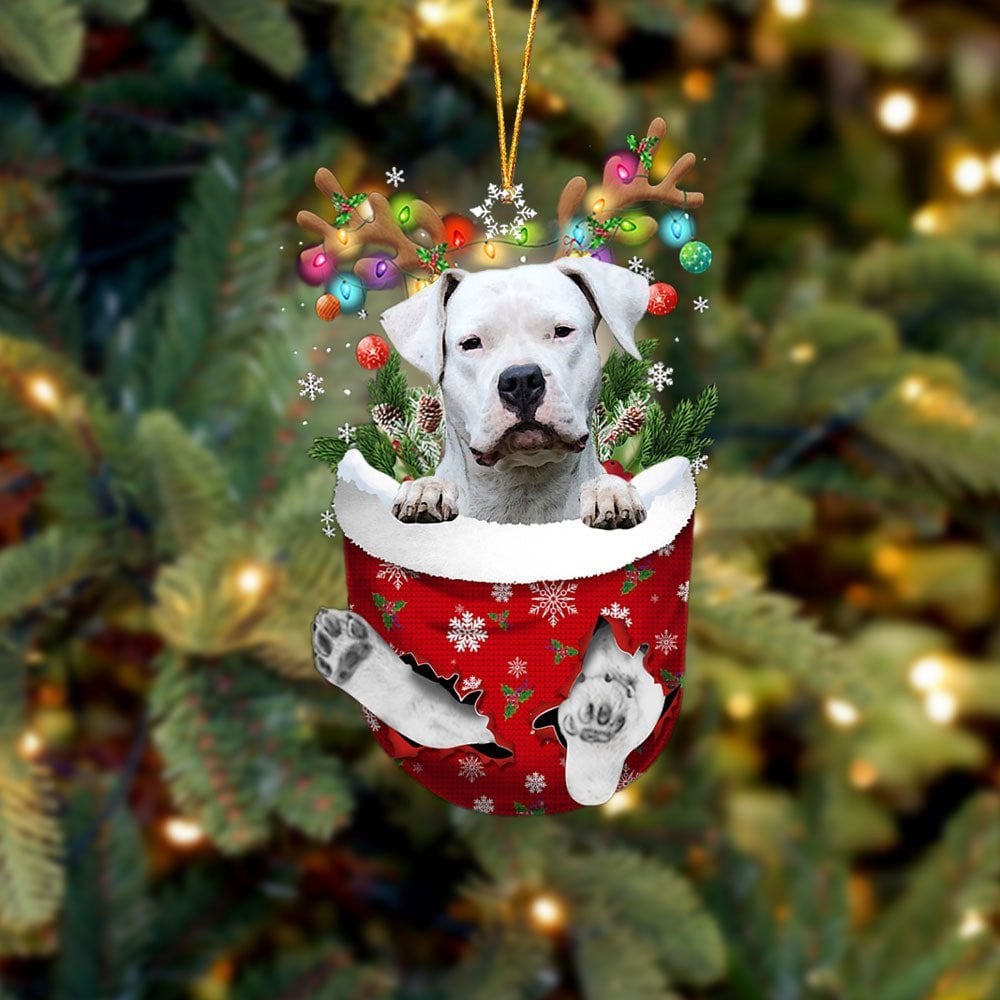 Dogo Argentino In Snow Pocket Ornament