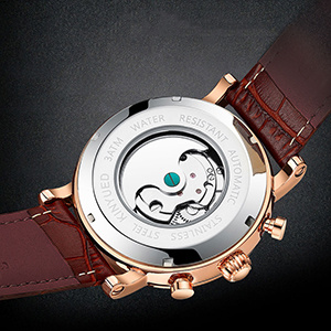 Mens Luxury Skeleton Automatic Mechanical Wrist Watches Leather Moon Phrase Luminous Hands Self-Wind Watch