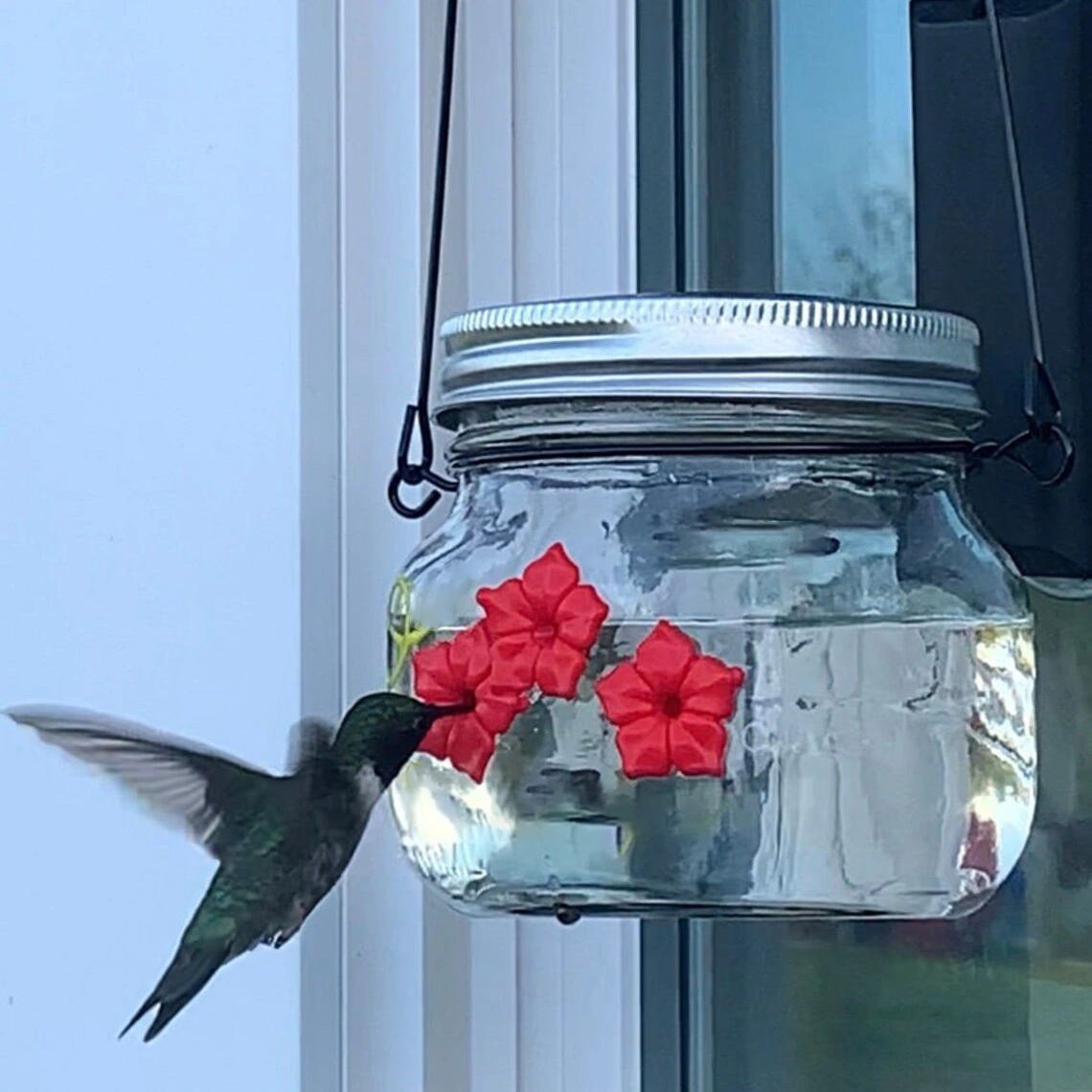 Beautiful Mason Jar Hummingbird Feeder w/Three Ports