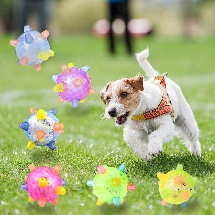💥Hot Sale 49% OFF💥Jumping activation ball for dogs and cats
