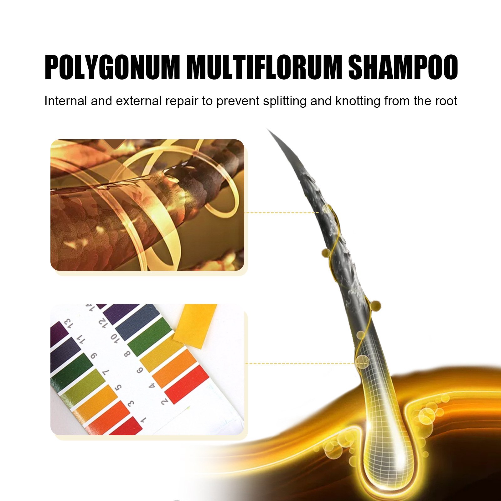 Polygonum Multiflorum Shampoo
