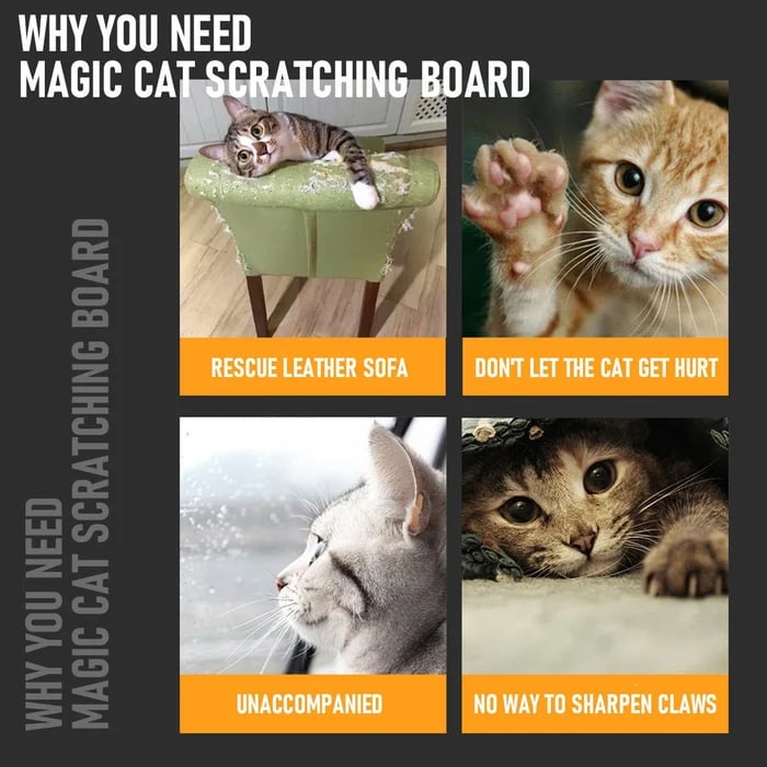 Magic Organ Cat Scratching Board--Comes with a toy bell ball