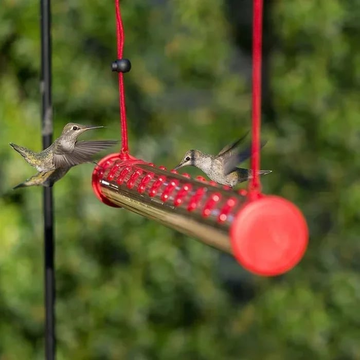 🔥LAST DAY 70% OFF-Flower bar hummingbird feeder