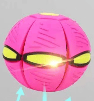 BUY MORE SAVE MORE💥The Doggy Disc Ball💞