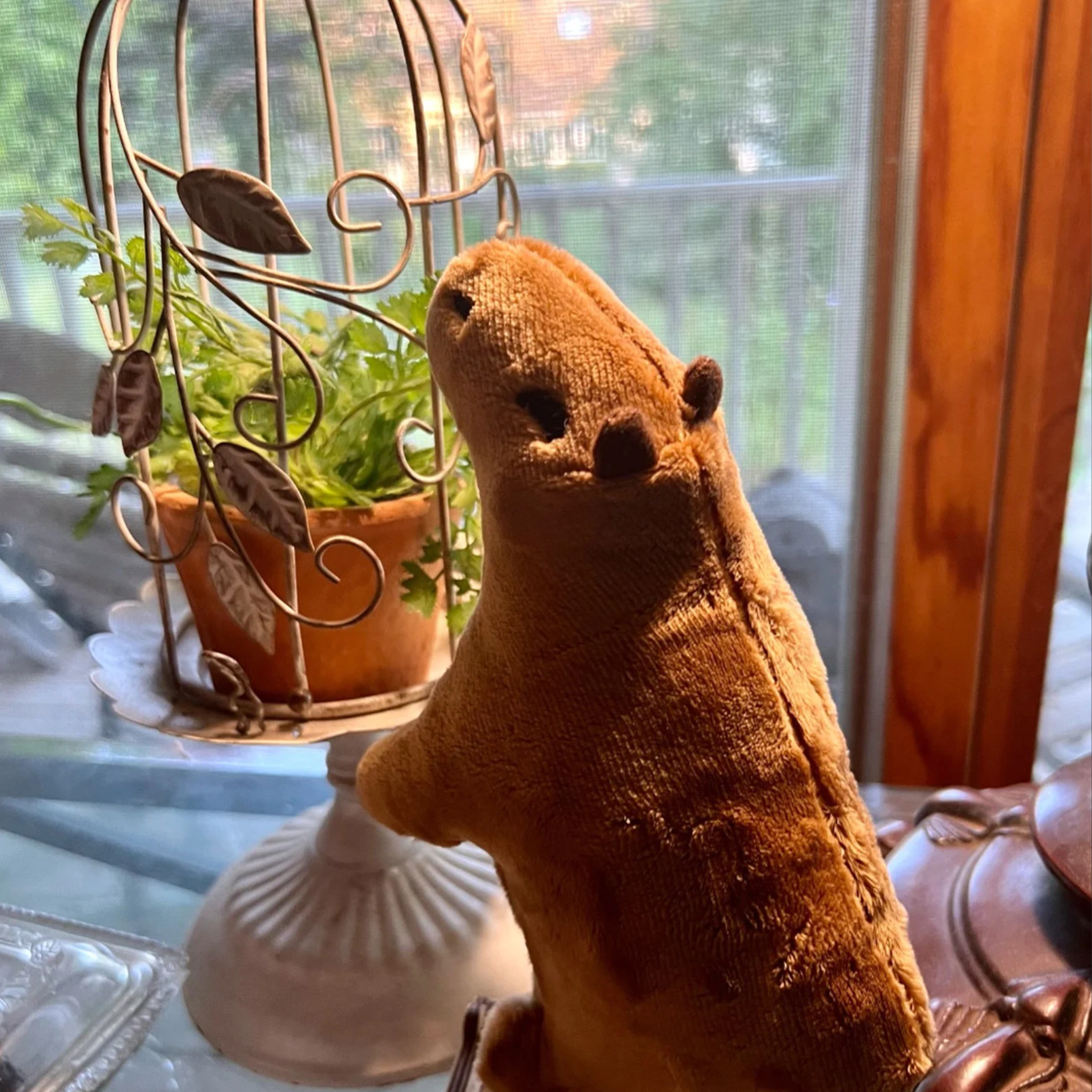 Calvin The Capybara - Fluffy & Cute Plushie