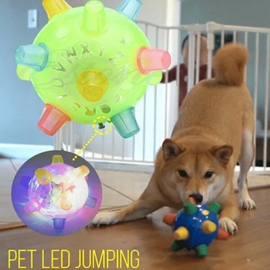 💥Hot Sale 49% OFF💥Jumping activation ball for dogs and cats