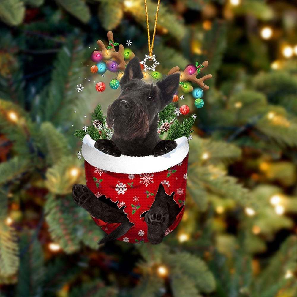 Scottish Terrier In Snow Pocket Ornament
