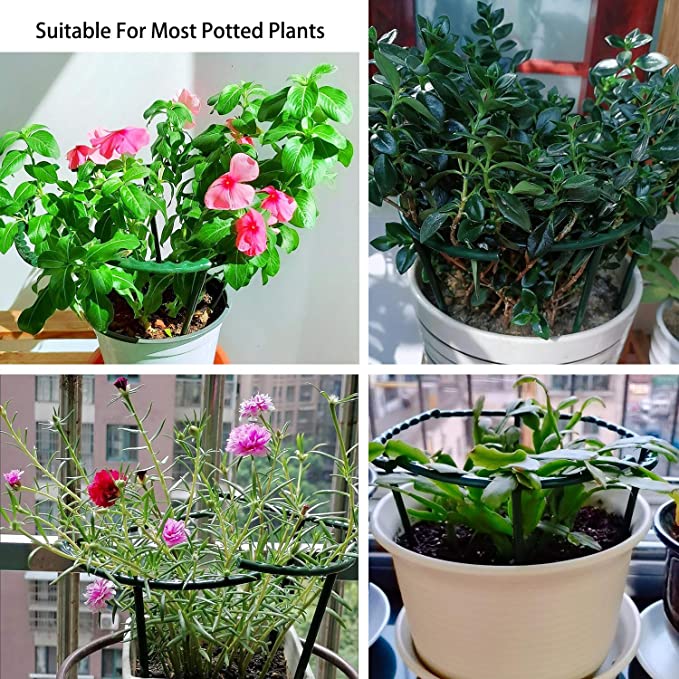 (🔥3rd Anniversary Sale) Plant Support Stake - Buy 3 Sets Get 2 Sets Free