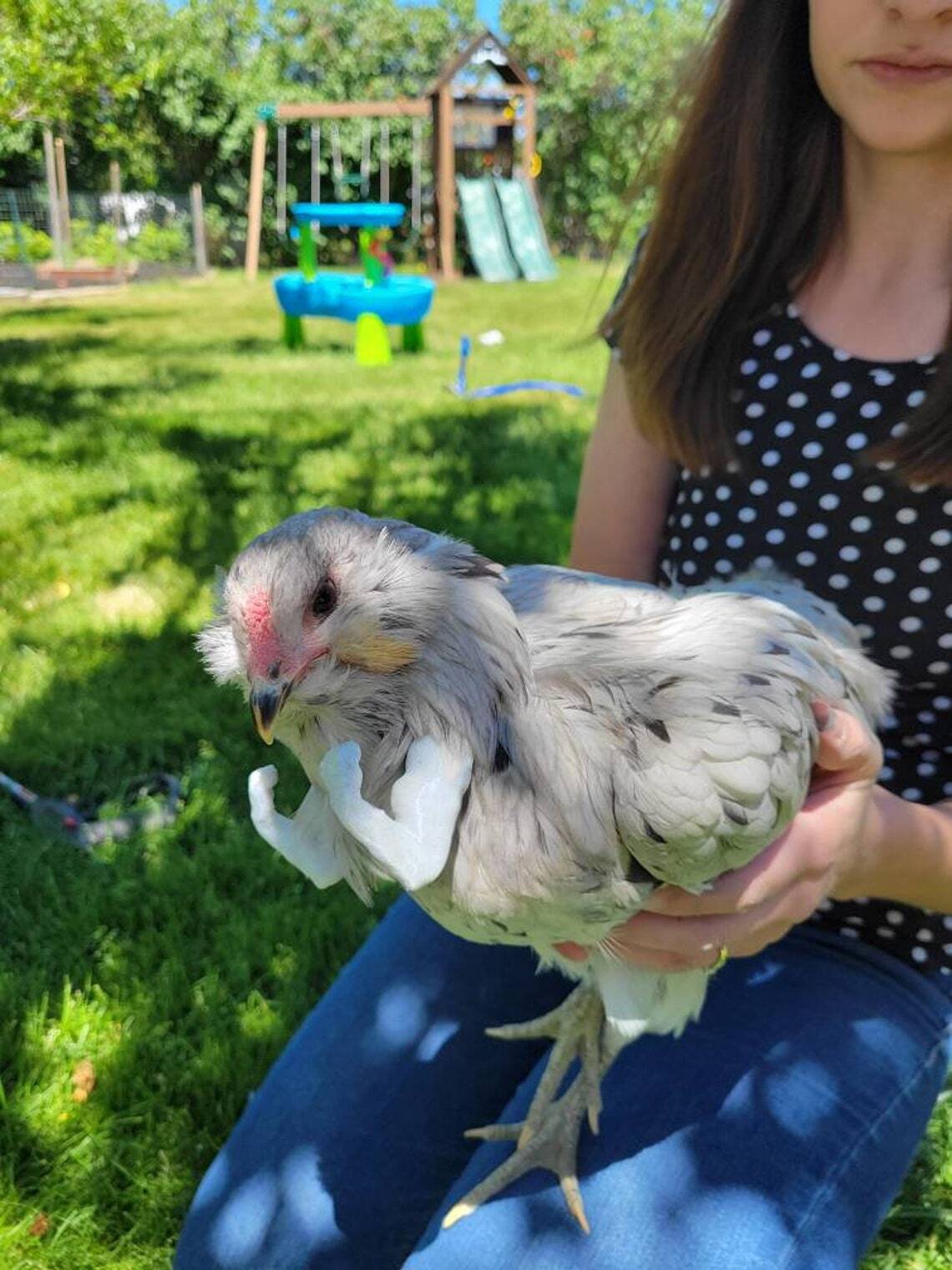 Chicken Arms , Strong Arms, Buff Arms, Chicken Costume，Funny Chicken Gift