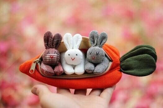 💖LAST DAY 49% OFF💖Hide-and-Seek Bunnies in Carrot Pouch--Children's gift