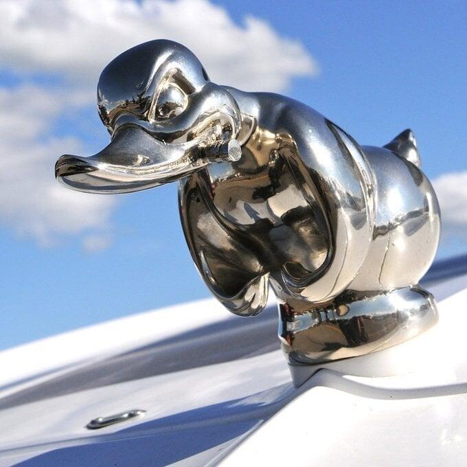 🔥New For 2023 - Wile E Coyote Hood Ornament-Buy Two Save 10%  And Free Shipping