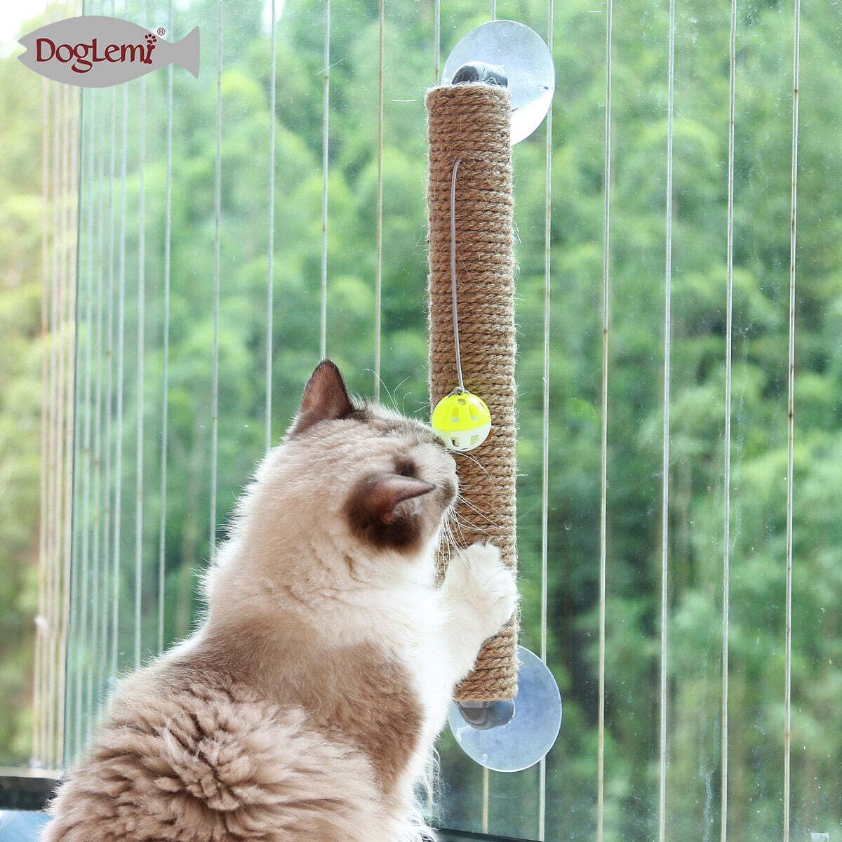 Fun Cat Scratcher With Toy Ball