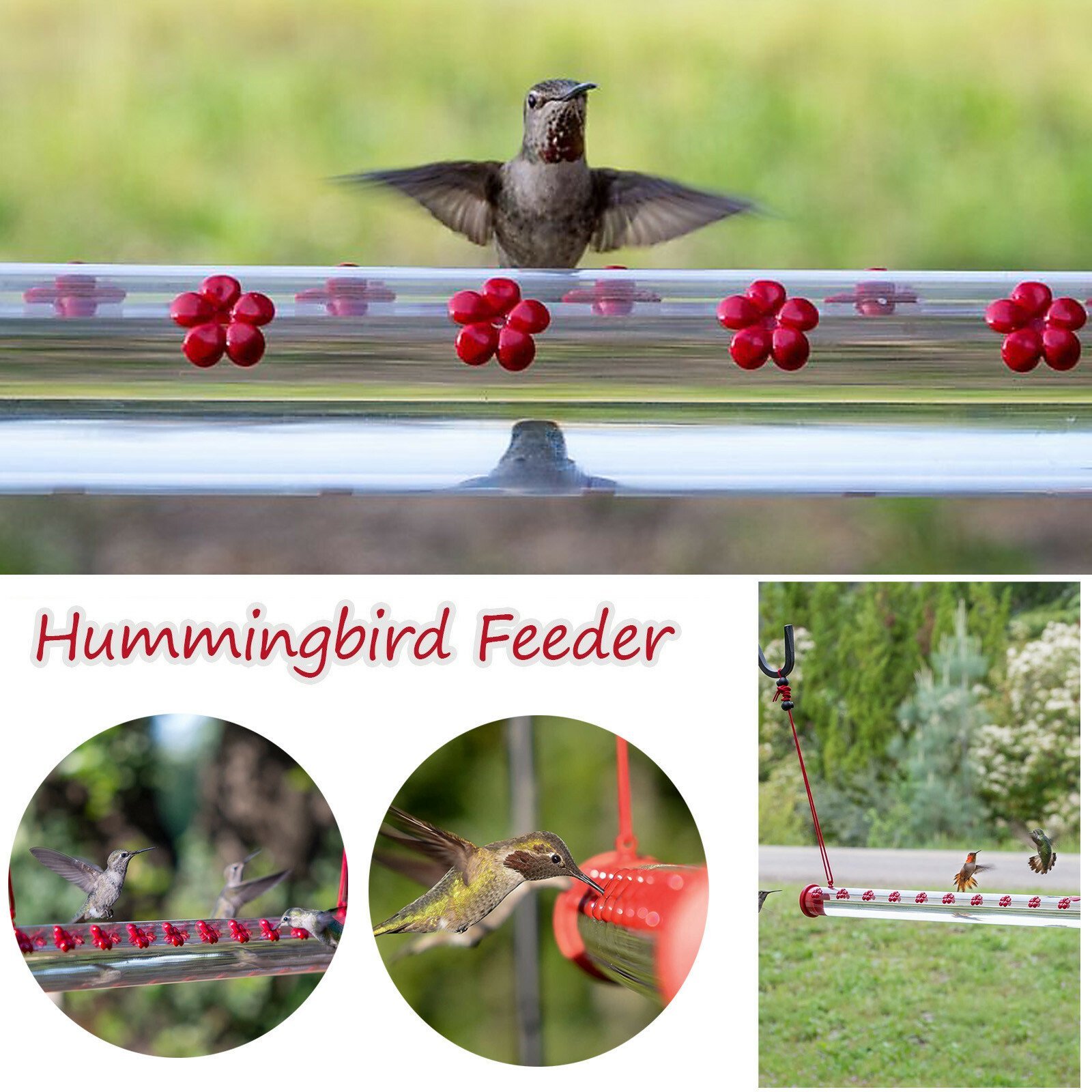 Bob's Best Hummingbird Feeder