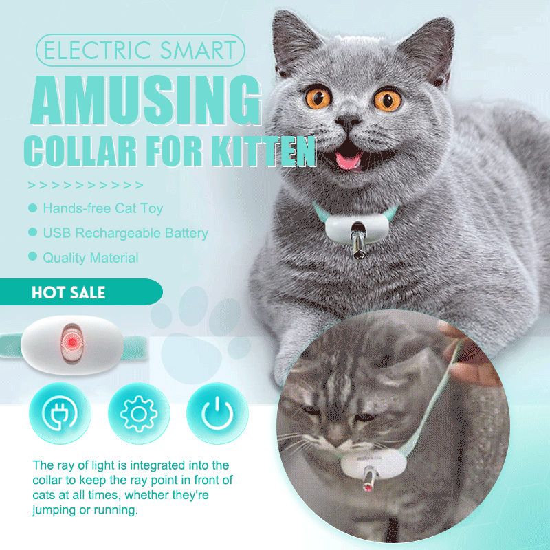 Laser Collar Cat Teaser Toy🐾