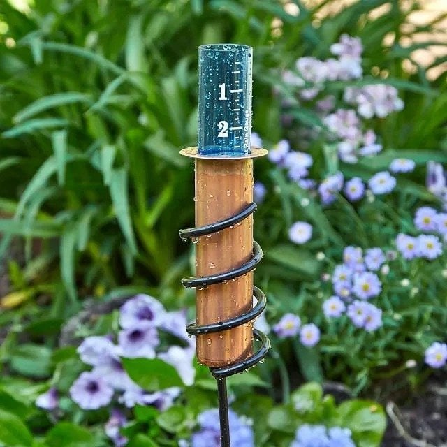 ⚡Last Day Flash Sale-50% OFF🔥World's Coolest Rain Gauge-Buy 2  Get 10% Off & Free Shipping