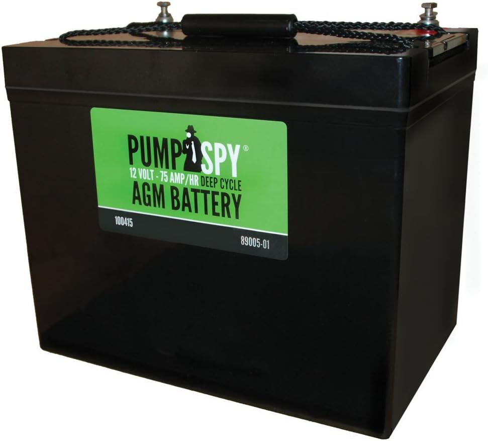 Primary Sump Pump Backup Bundle 2000W