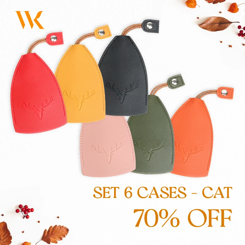 WinkKey - Protective Pull Out Key Case