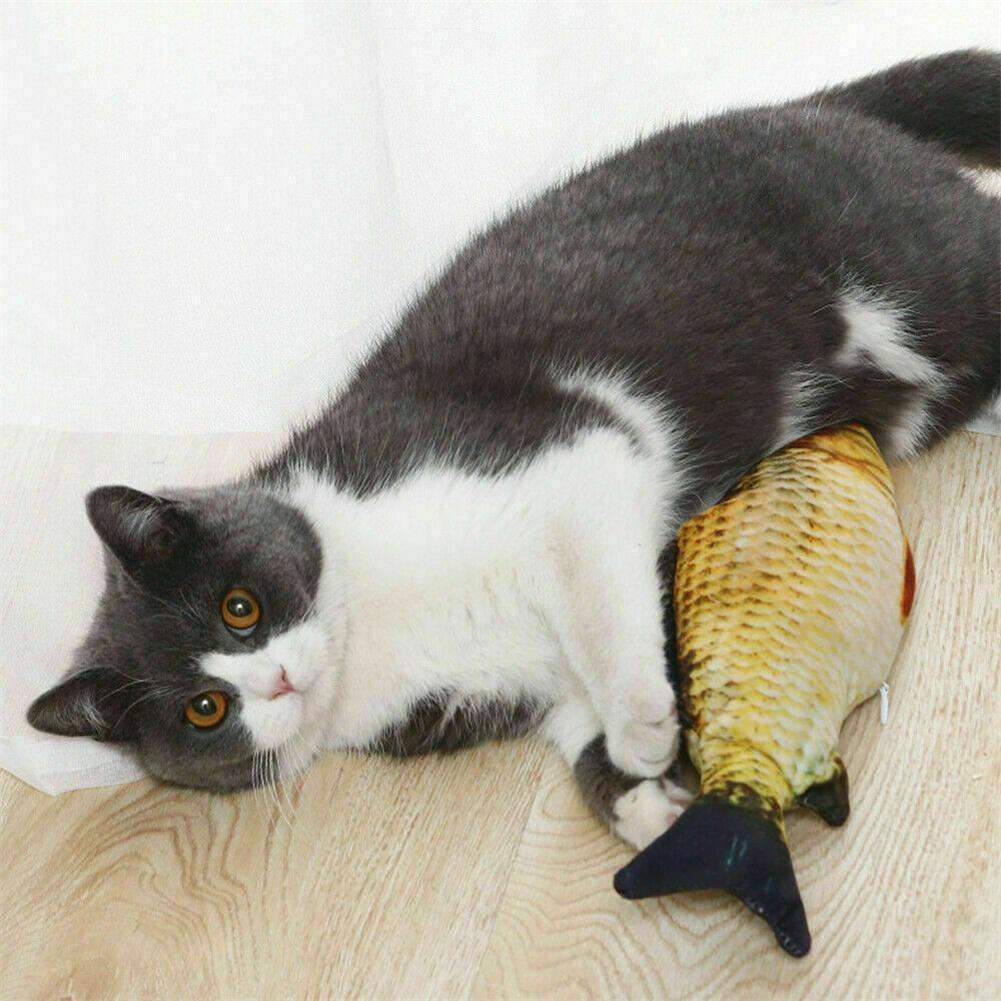Floppy Fish Interactive Pets Toy