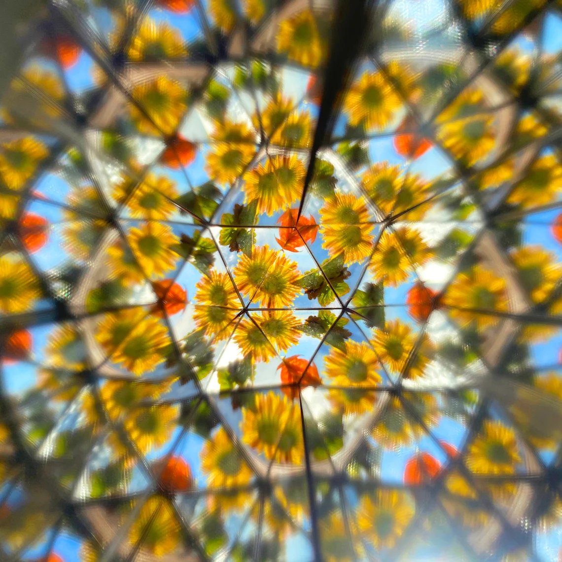 🎁The Best Gift——Natural Wood Kaleidoscope