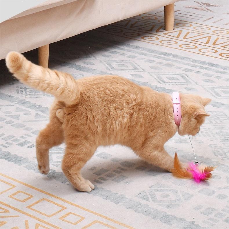 🔥Last Day Promotion-SAVE 50% OFF🔥Free hands collar cat teaser stick😻-BUY 5 GET 5 FREE(10PCS)&FREE SHIPPING